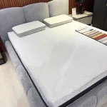 Giường bọc nệm cao cáo 